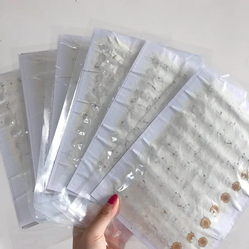 60X Pressed Dried Natural Whit - Dried Flower Bookmark ulasan dan harga