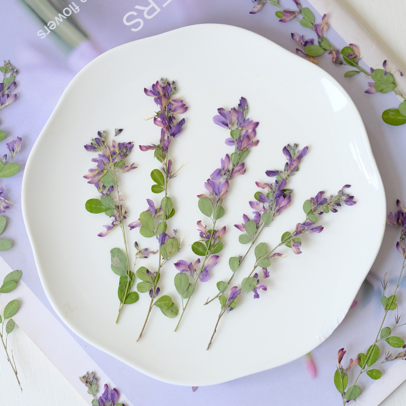 6pcs,nature Lespedeza Formosa  - Dried Flower Bookmark ulasan dan harga