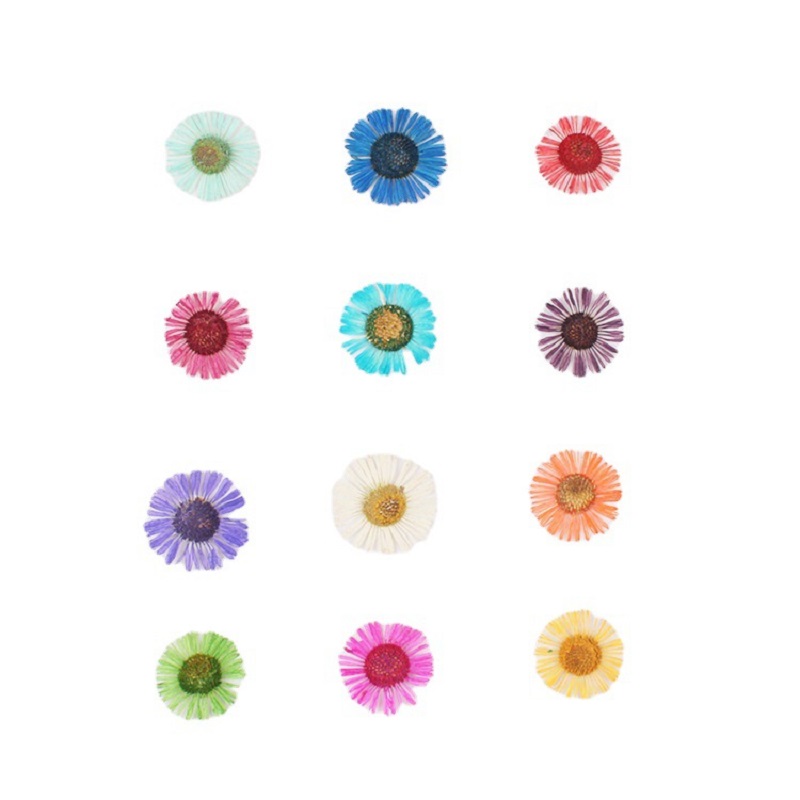 1 Set Pressed Dried Flower Eri - Dried Flower Bookmark ulasan dan harga
