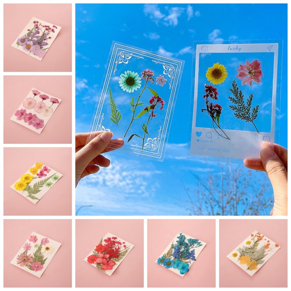 DIY Materials DIY Dried Flower - Dried Flower Bookmark ulasan dan harga