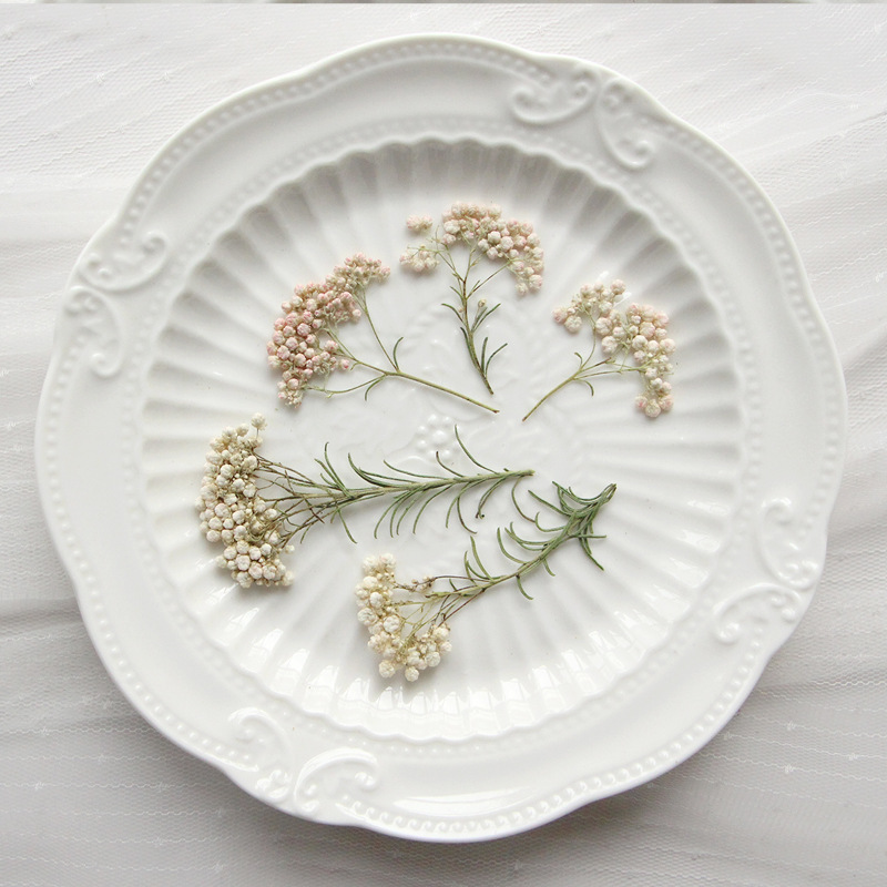 12pcs, Nature Millet Flower Br - Dried Flower Bookmark ulasan dan harga