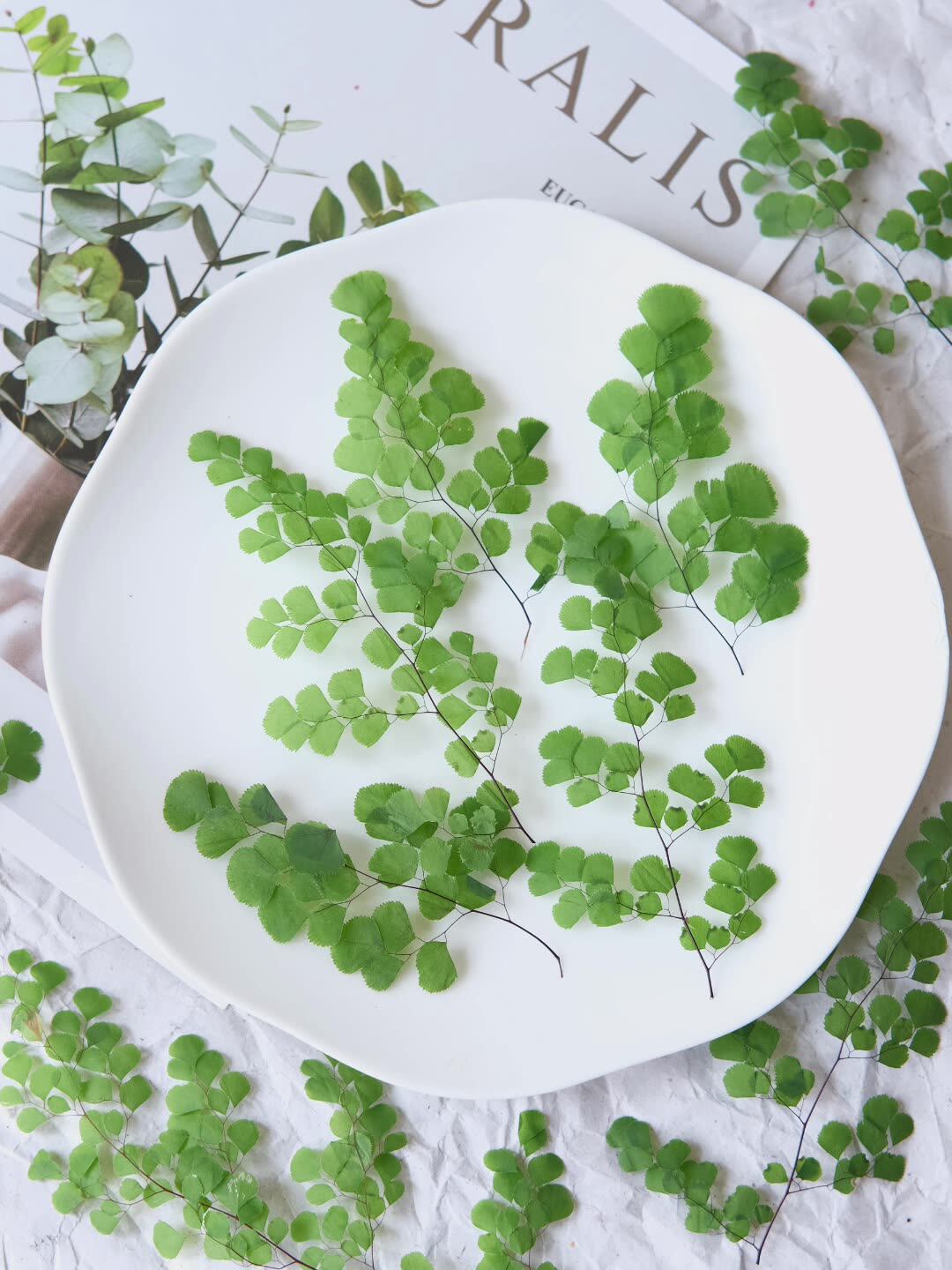 60Pcs Natural Plant Real Flowe - Dried Flower Bookmark ulasan dan harga
