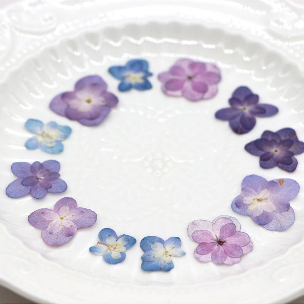 60Pcs Mini Double-Flowered Hyd - Dried Flower Bookmark ulasan dan harga