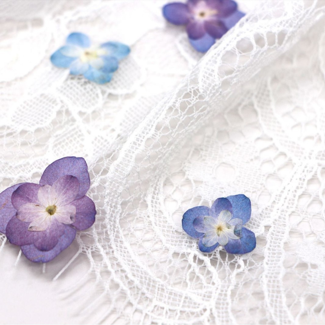 60Pcs Mini Double-Flowered Hyd - Dried Flower Bookmark ulasan dan harga