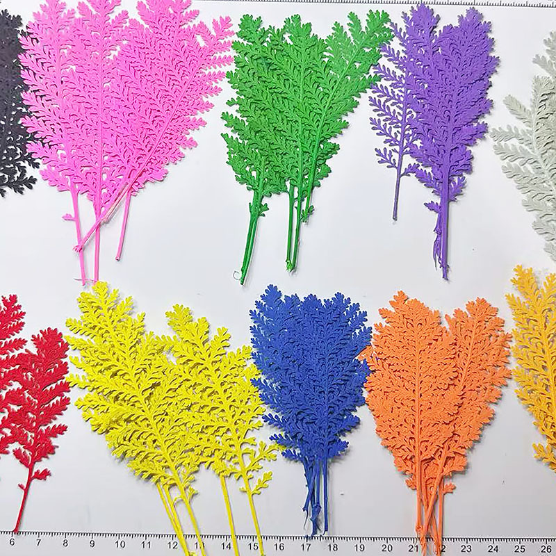 100Pcs Natural Silver Feather  - Dried Flower Bookmark ulasan dan harga