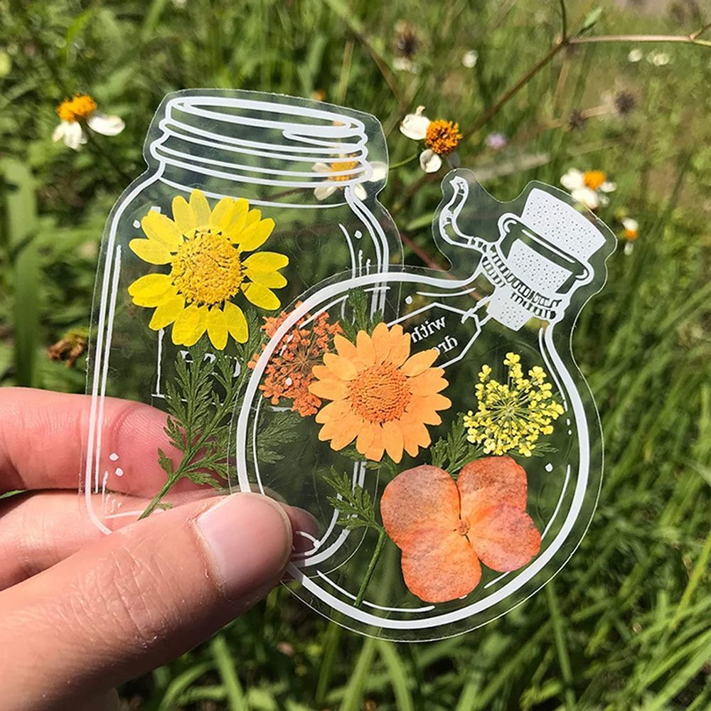 30Pcs Transparent Dried Flower - Dried Flower Bookmark ulasan dan harga